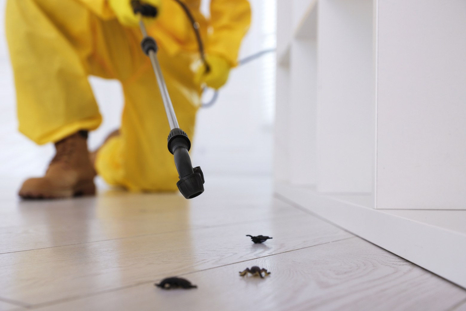TRUST pest control technician at work